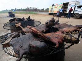 UN: Ebola Outbreak Likely Caused by Bushmeat